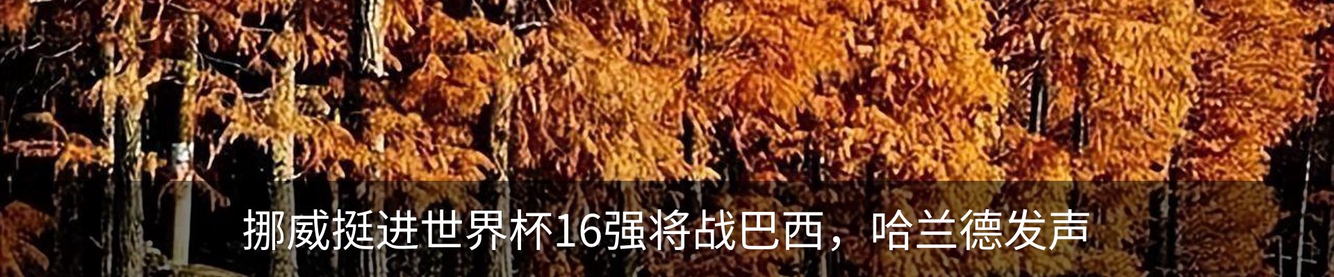 资讯中心
